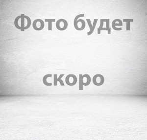 Цветы BG 189 Лево (25 см, цвет Бронза) арт:1746