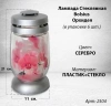 Лампада Стеклянная Орхидея Bolsius (размер 21*11 см, корпус цилиндрический, колба стекло, пластик золото, принт Орхидея, в упаковке 6 шт.) арт:2504